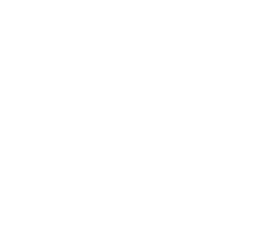 La Pelle à Pizza